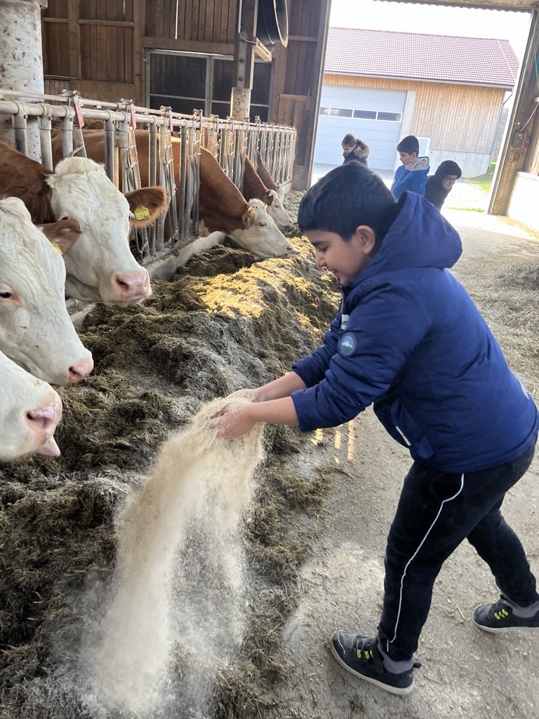 Ausflug auf den Bauernhof der 3c und 3b