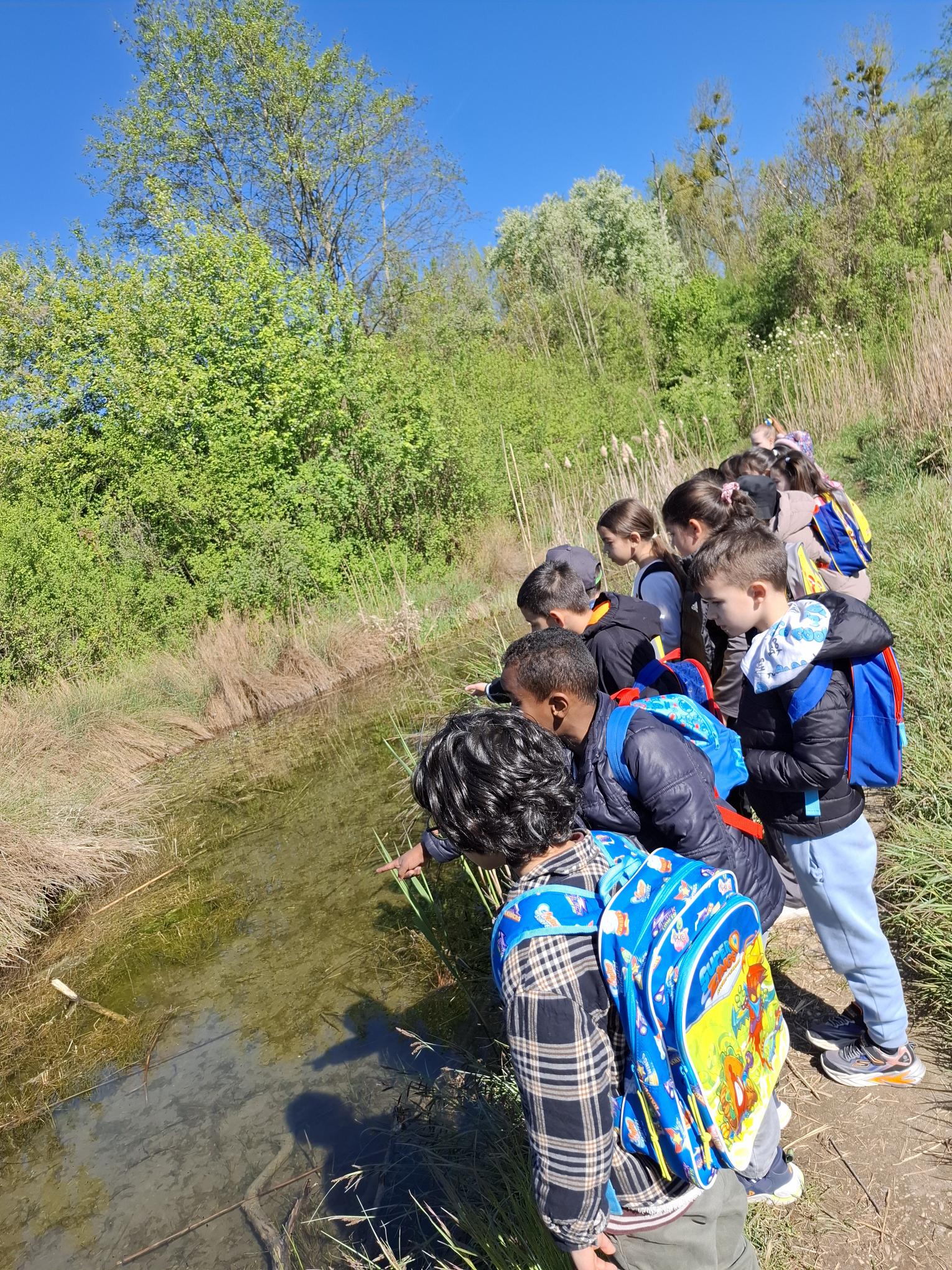 Wanderung zum Weikerlsee